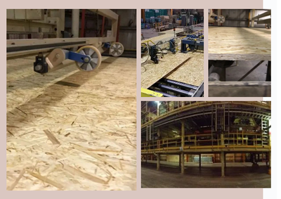 25道严苛工序，铸就兔宝宝OSB五项全能——探秘加拿大OSB板材的精工之道